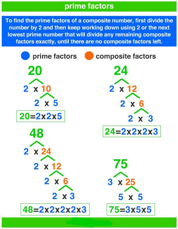how-to-find-the-prime-factors-using-factor-tree-a-plus-topper