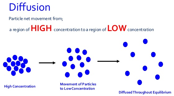 Why Does Diffusion Take Place Learning Made Simple