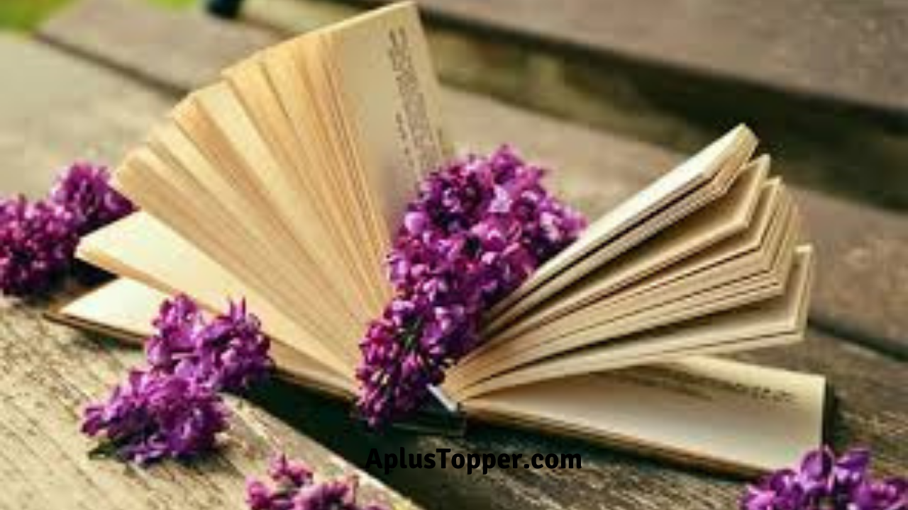 A Study Of Reading Habits Analysis Essay