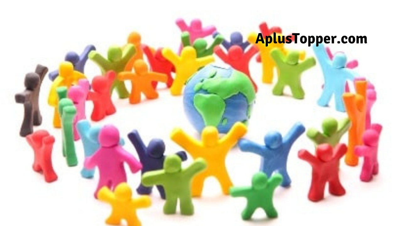 Cross Cultural Experience Essay