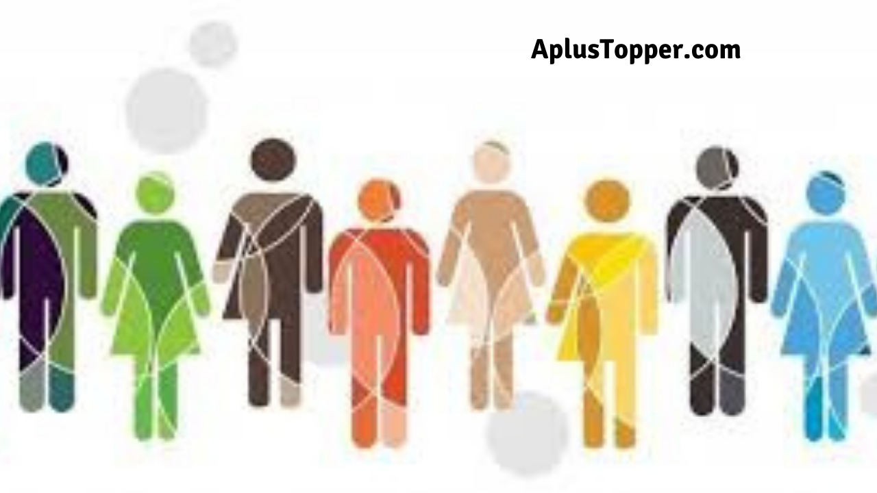 Cross Cultural Interview