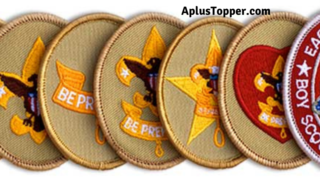 Eagle Scout Life Ambitions Essay