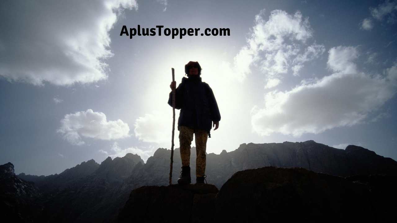 Famous Proverbs in English