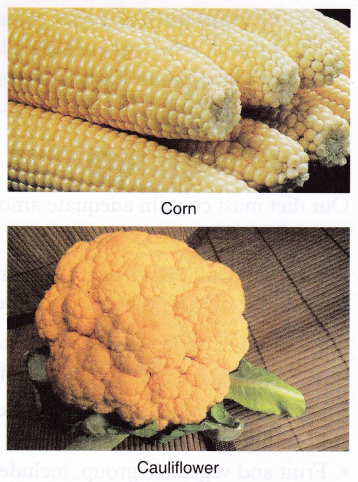 How Many Types Of Minerals Are There 3