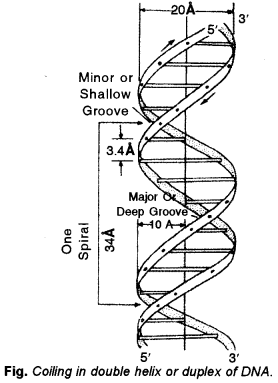ISC Biotechnology Question Paper 2016 Solved for Class 12 1