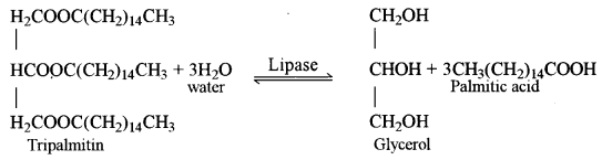 ISC Biotechnology Question Paper 2017 Solved for Class 12 2