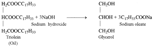ISC Biotechnology Question Paper 2017 Solved for Class 12 3
