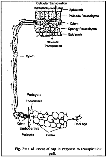 ISC Class 12 Biology Previous Year Question Papers Solved 2010 2