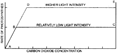 ISC Class 12 Biology Previous Year Question Papers Solved 2010 3
