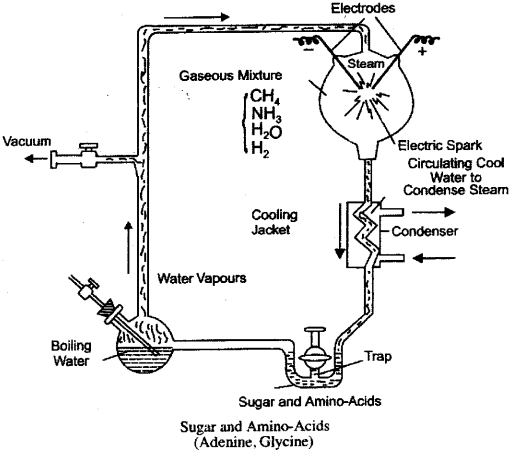 ISC Class 12 Biology Previous Year Question Papers Solved 2014 1