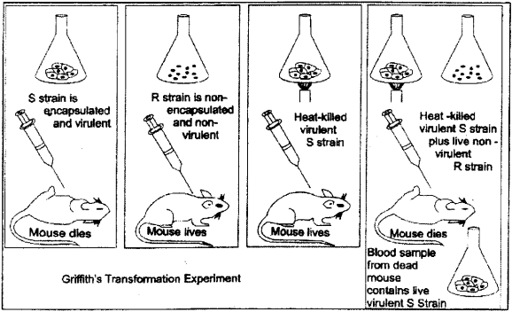 ISC Class 12 Biology Previous Year Question Papers Solved 2014 6