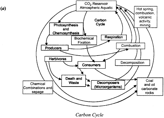 ISC Class 12 Biology Previous Year Question Papers Solved 2019 6
