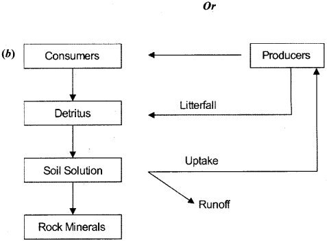 ISC Class 12 Biology Previous Year Question Papers Solved 2019 7