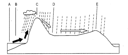 ISC Geography Question Paper 2011 Solved for Class 12 2011 Paper -1