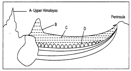ISC Geography Question Paper 2012 Solved for Class 12 - 1