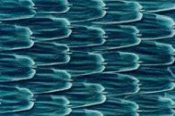 Intuitive Notion of Translations 4