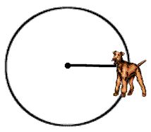 Locus At a Fixed Distance from a Point 6
