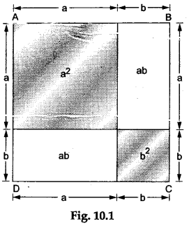 Math Labs with Activity - Verify the Identity (a+b)² = (a² + 2ab+b²) 1
