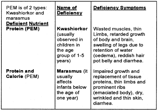 Plus One Zoology Notes Chapter 5 Digestion and Absorption 11