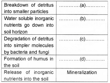 Plus Two Botany Chapter Wise Questions and Answers Chapter 7 Ecosystem 2M Q42