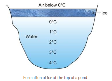 Selina Concise Chemistry Class 9 ICSE Solutions Water image - 1