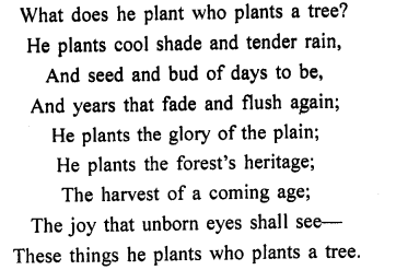 Treasure Trove A Collection of ICSE Poems Workbook Answers Chapter 1 The Heart of a Tree 2
