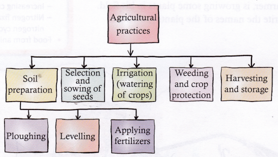 What Is Agriculture And What Are Agricultural Practices 1