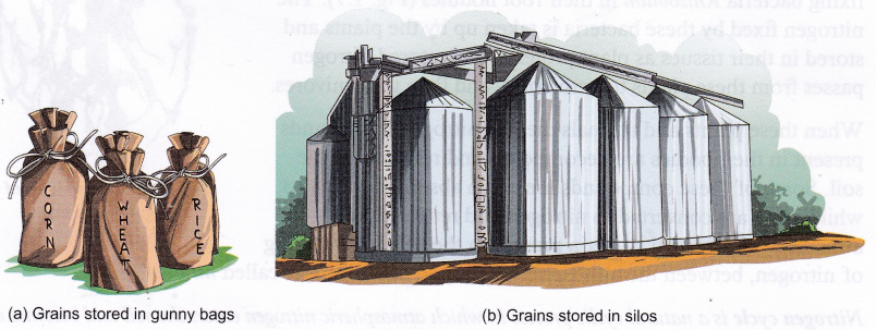 What Is Agriculture And What Are Agricultural Practices 10