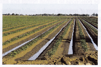 What Is Agriculture And What Are Agricultural Practices 6