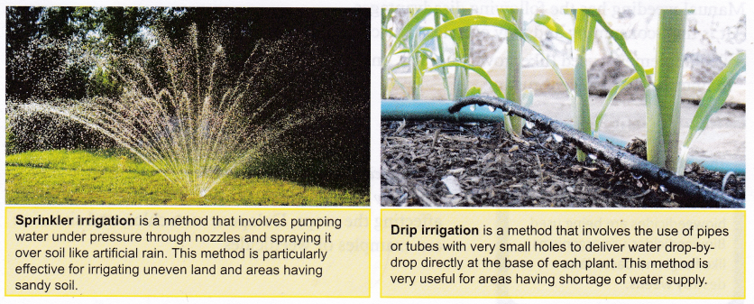 What Is Agriculture And What Are Agricultural Practices 7