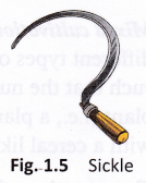 What Is Agriculture And What Are Agricultural Practices 9