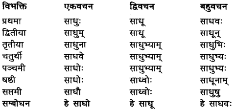 Sadhu Shabd Roop In Sanskrit