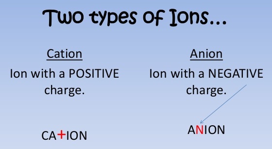 What are the two types of ions called 