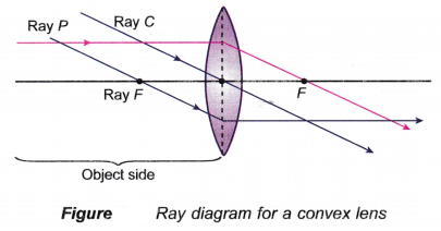 Ray Diagram for Convex and Concave Lens 1