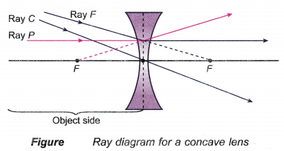 Ray Diagram for Convex and Concave Lens 2