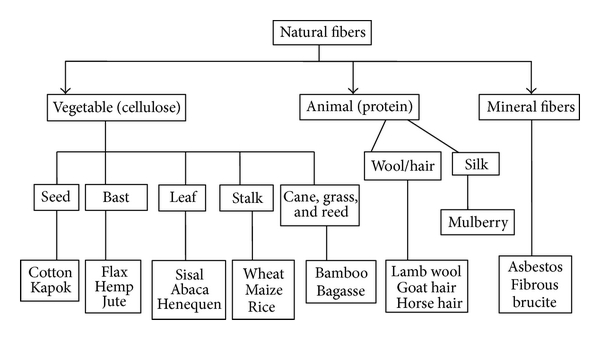 types of fibres