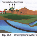 What are the Different Sources of Water 1