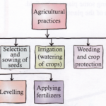 What Is Agriculture And What Are Agricultural Practices 1