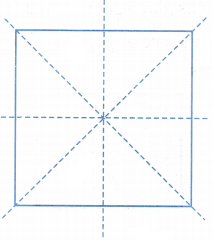 What is the Symmetry in Geometrical Shapes 2
