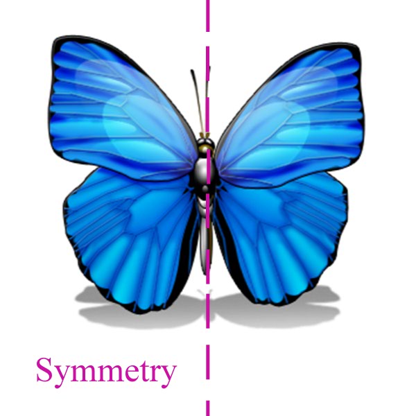 Intuitive Notion of Line Symmetry and Plane Symmetry 4