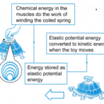 Elastic Potential Energy 1