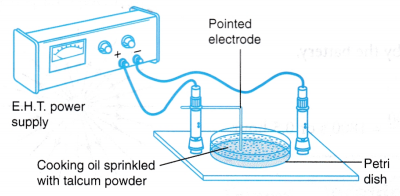 Electric Field Experiment