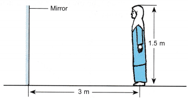 Plane Mirror Example Problems 1