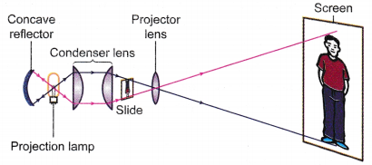 The Uses of Lenses in Optical Devices 9
