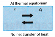 Thermal Equilibrium 3
