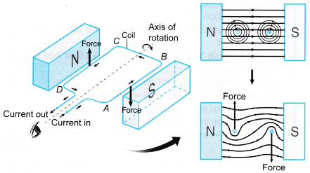 turning effect on a current carrying coil in a magnetic field 2