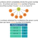 Finding Factors And Multiples 1