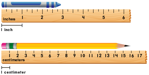 What you do to determine the length of something measure | The Fact Base