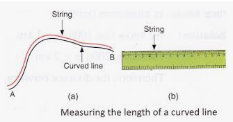 How Do You Measure Length 3