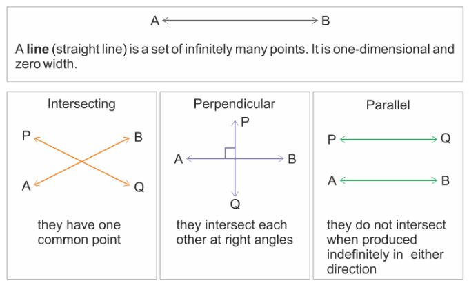 Parallel and Perpendicular Lines 1